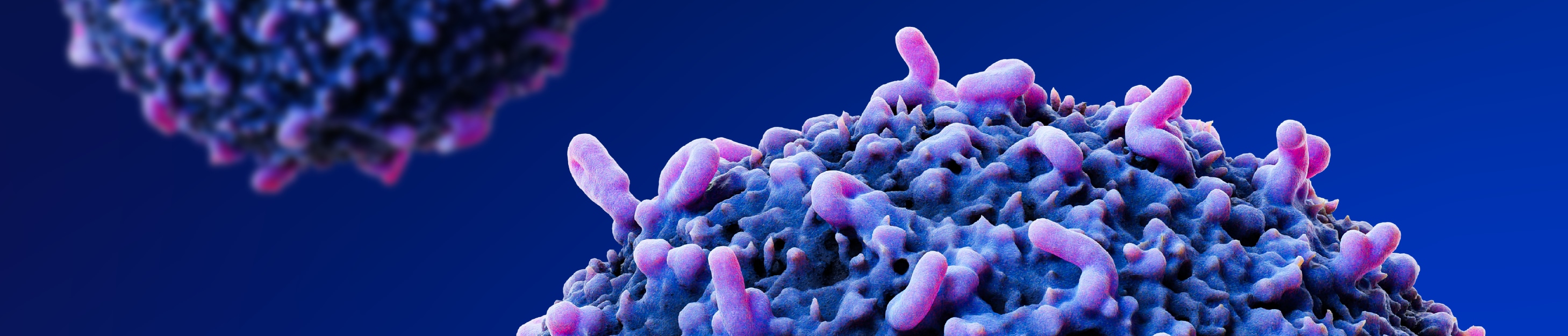 A Role for VSIG-3/VISTA Signaling in Acquired Resistance to Anti-PD-1 Therapy? Banner