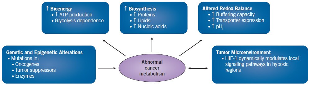 Effects of Abnormal Cancer Metabolism on bioenergy, biosynthesis, redox balance, and the tumor microenvironment
