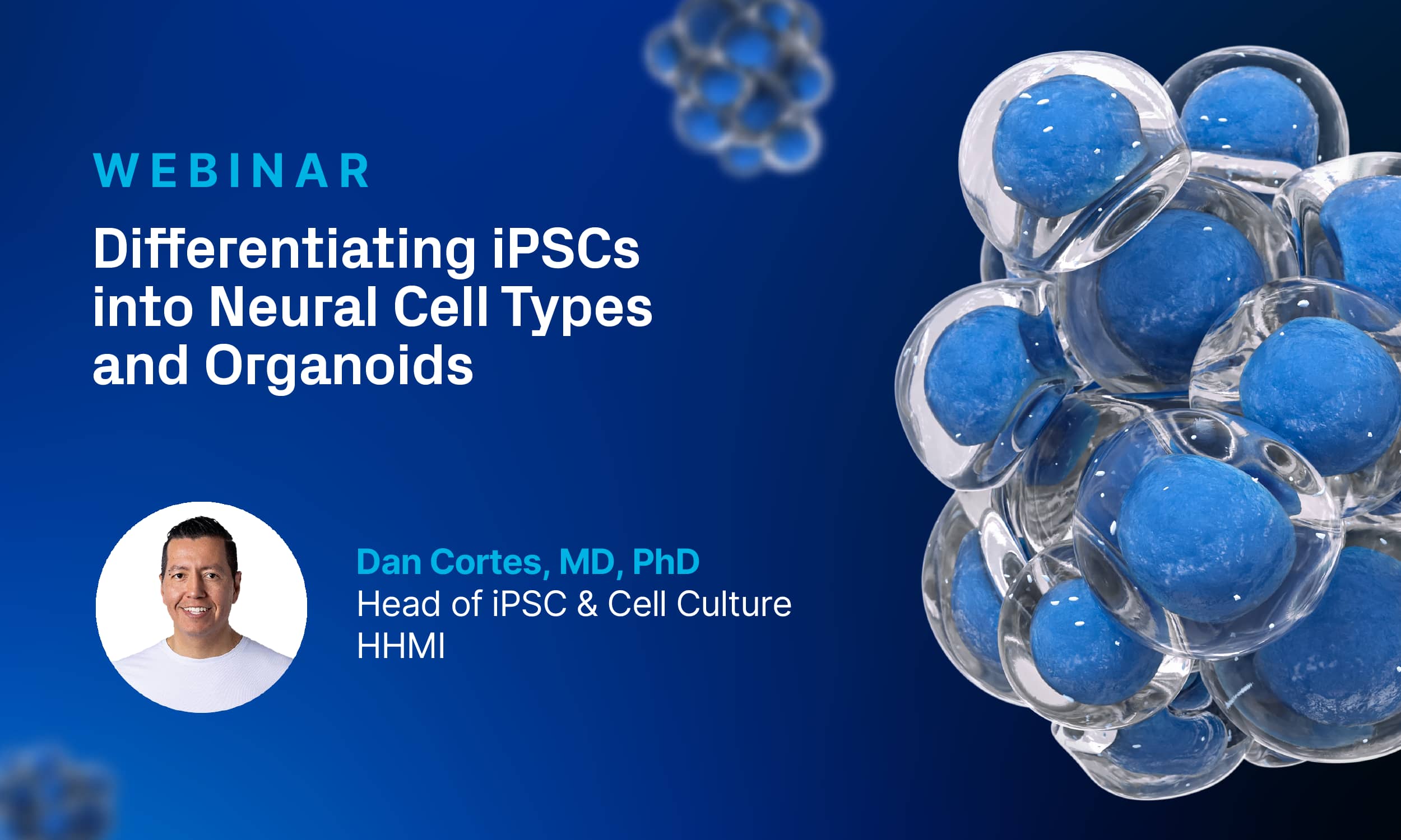 Webinar: Differentiating iPSCs into Neural Cell Types and Organoids