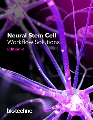 Neural Stem Cells