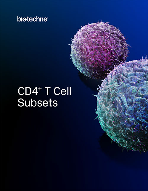 CD4+ T Cell Subset Characterization