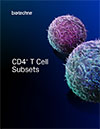 CD4+ T Cell Subsets