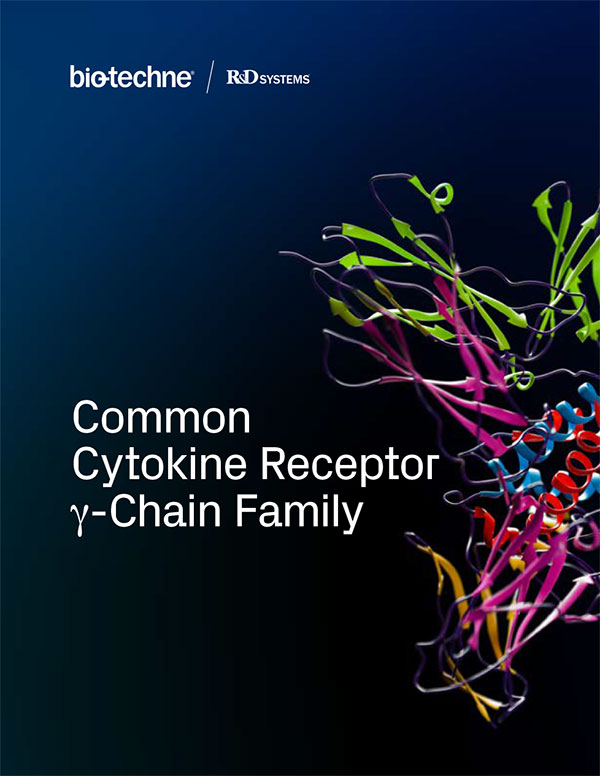 Cover of R&D Systems Common Cytokine Receptor gamma-Chain Family brochure