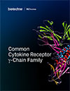 Common Cytokine Receptor gamma-Chain Family Brochure