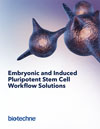 Embryonic and Induced Pluripotent Stem Cells