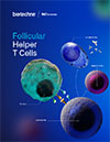 Follicular Helper T Cells