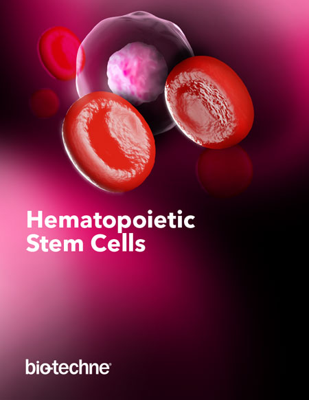 Hematopoietic Stem Cells