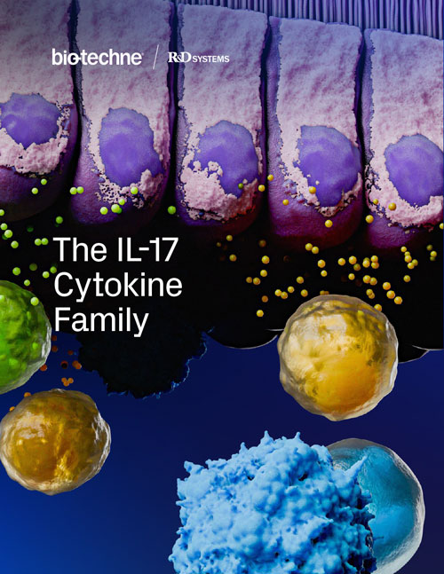 The IL-17 Cytokine Family