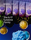 The IL-17 Cytokine Family