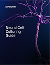 Neural Cell Culturing Guide