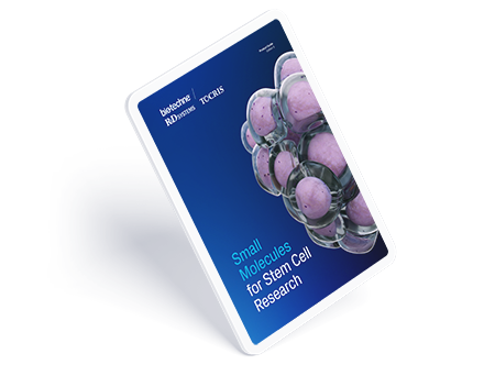Thumbnail image of Small Molecules for Stem Cell Research Guide