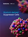 Myeloid-derived Suppressor Cells