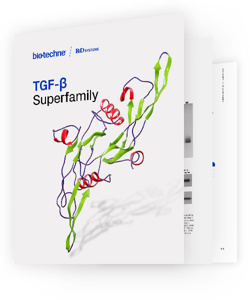 TGF-beta Superfamily Brochure