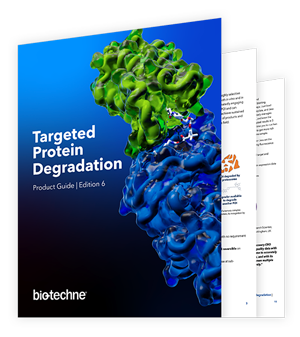 Targeted Protein Degradation (TPD) Product Guide brochure