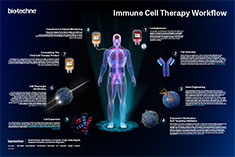 Immune Cell Therapy Workflow Wall Poster