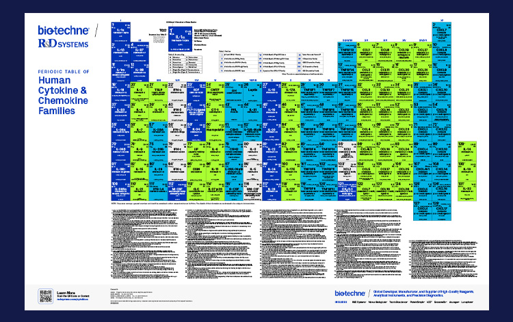 thumbnail image of R&D Systems Periodic Table of Human Cytokine & Chemokine Families poster