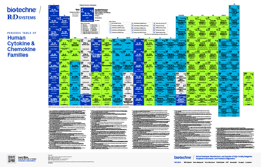 Periodic Table Human Cytokine and Chemokine Families