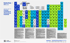 Periodic Table Human Cytokine and Chemokine Families