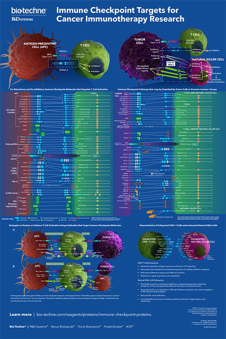 Immune Checkpoint Targets for Cancer Immunotherapy Research Poster