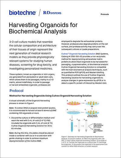 Bio-Techne Protocol: Harvesting Organoids for Biochemical Analysis