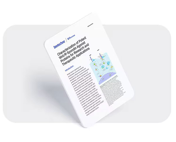 Characterization of Potent Wnt/R-Spondin Agonist Proteins