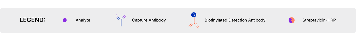 DuoSet ELISA Assay Principle Legend