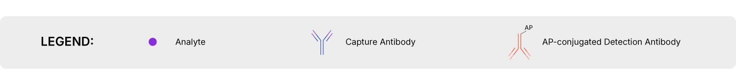 Quantikine High Sensitive ELISA Kit Assay Principle Legend