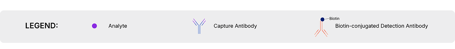 Quantikine High Sensitivity ELISA Kit Assay Principle Using a Streptavidin HRP Polymer Amplification System Legend