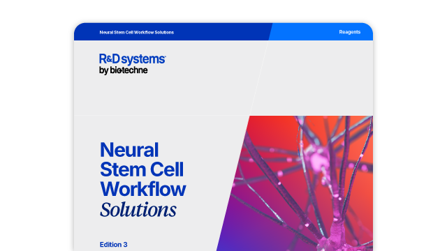 Neural Stem Cell Workflow Solutions Brochure
