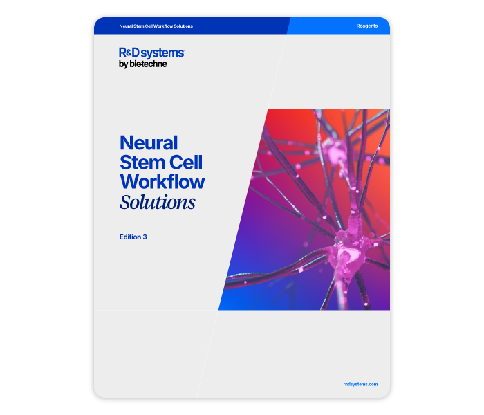 Neural Stem Cell Workflow Solutions Research Brochure Thumbnail