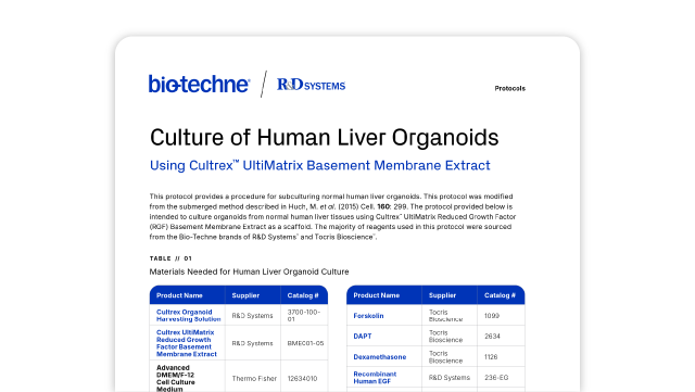 Liver Organoid Culture Protocol