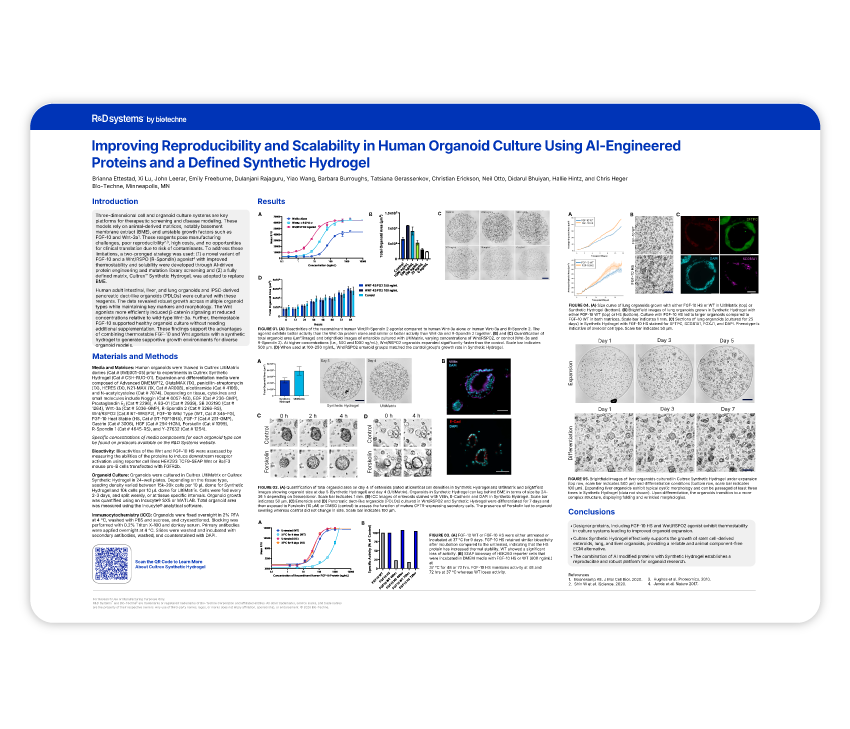 Organoid Culture Poster Thumbnail