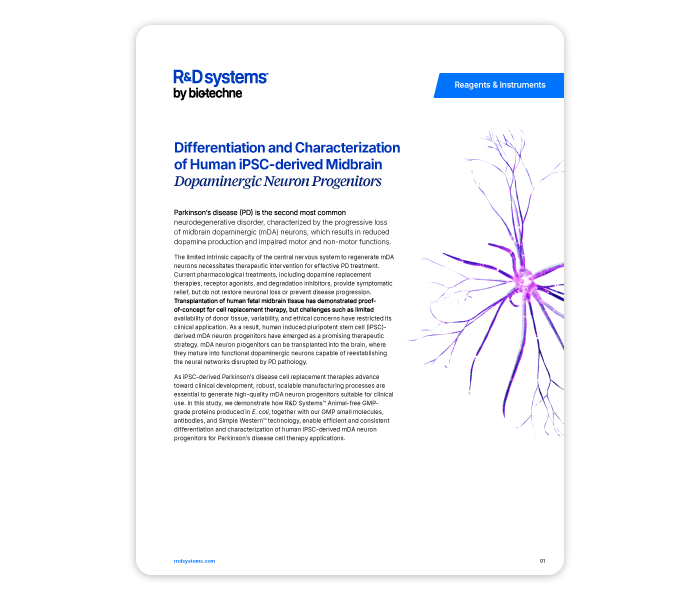 iPSC to Dopaminergic Neuron Progenitor App Note Image